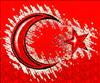Asker Arkadaşlığı