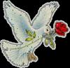 Elvan (elvan_)