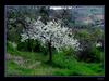 Ceren [Soyad Gizli]
